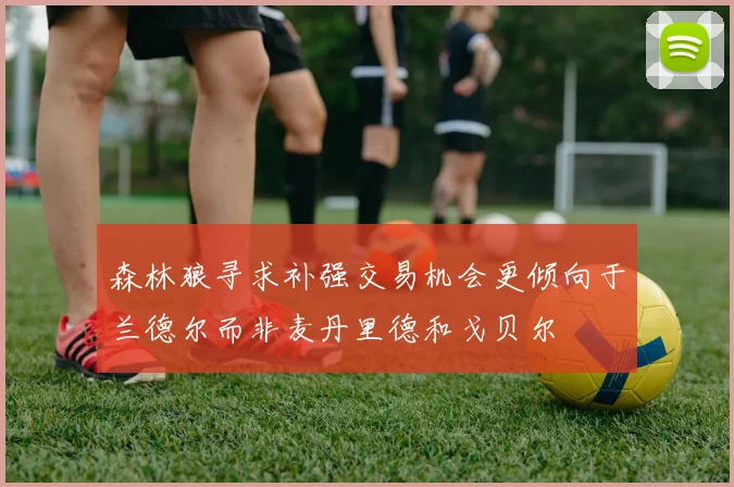 森林狼寻求补强交易机会更倾向于兰德尔而非麦丹里德和戈贝尔