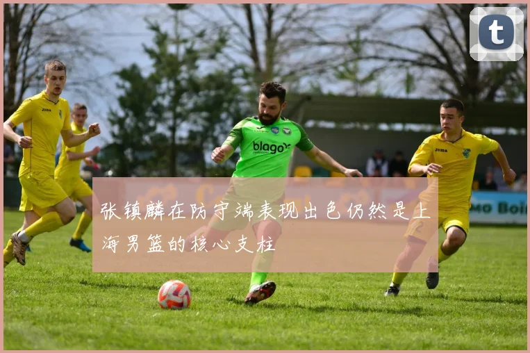 张镇麟在防守端表现出色仍然是上海男篮的核心支柱